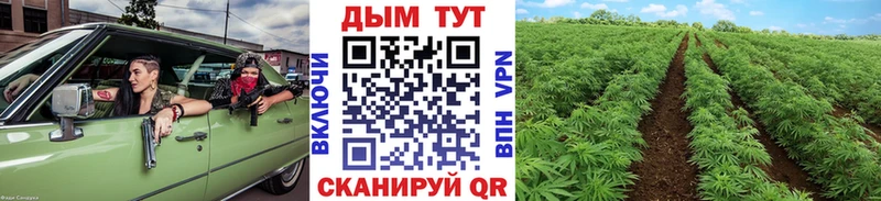 Канабис ГИДРОПОН  Туапсе 